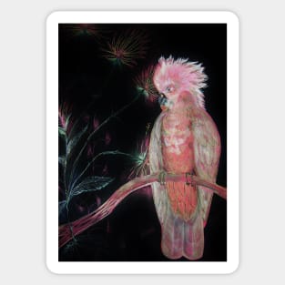 PINK COCKATOO PARROT TROPICAL EXOTIC ABSTRACT PALM POSTER PRINT Sticker